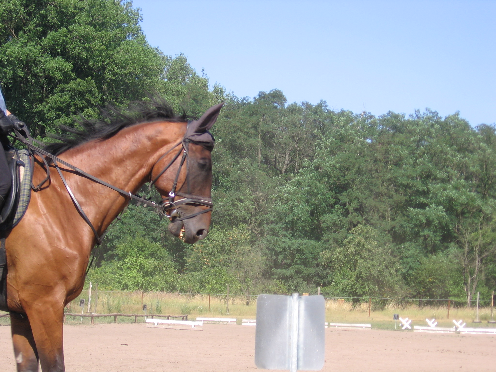 Snímek 035.jpg