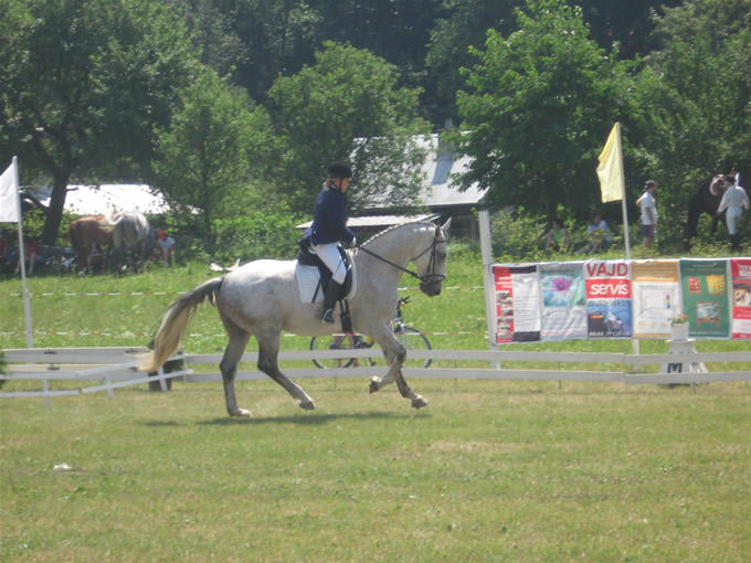 IMG_0261_2.jpg