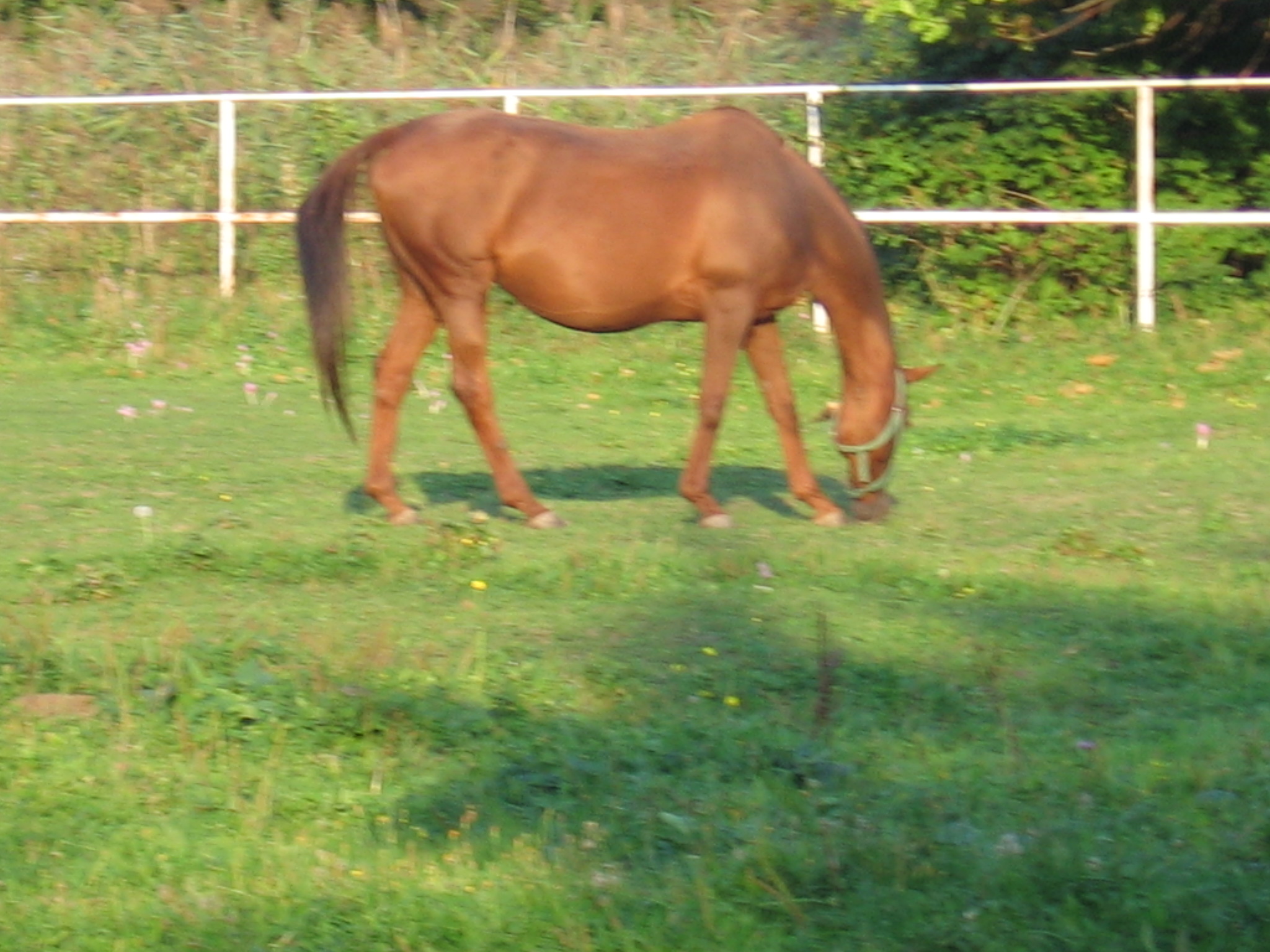 Snímek 215.jpg