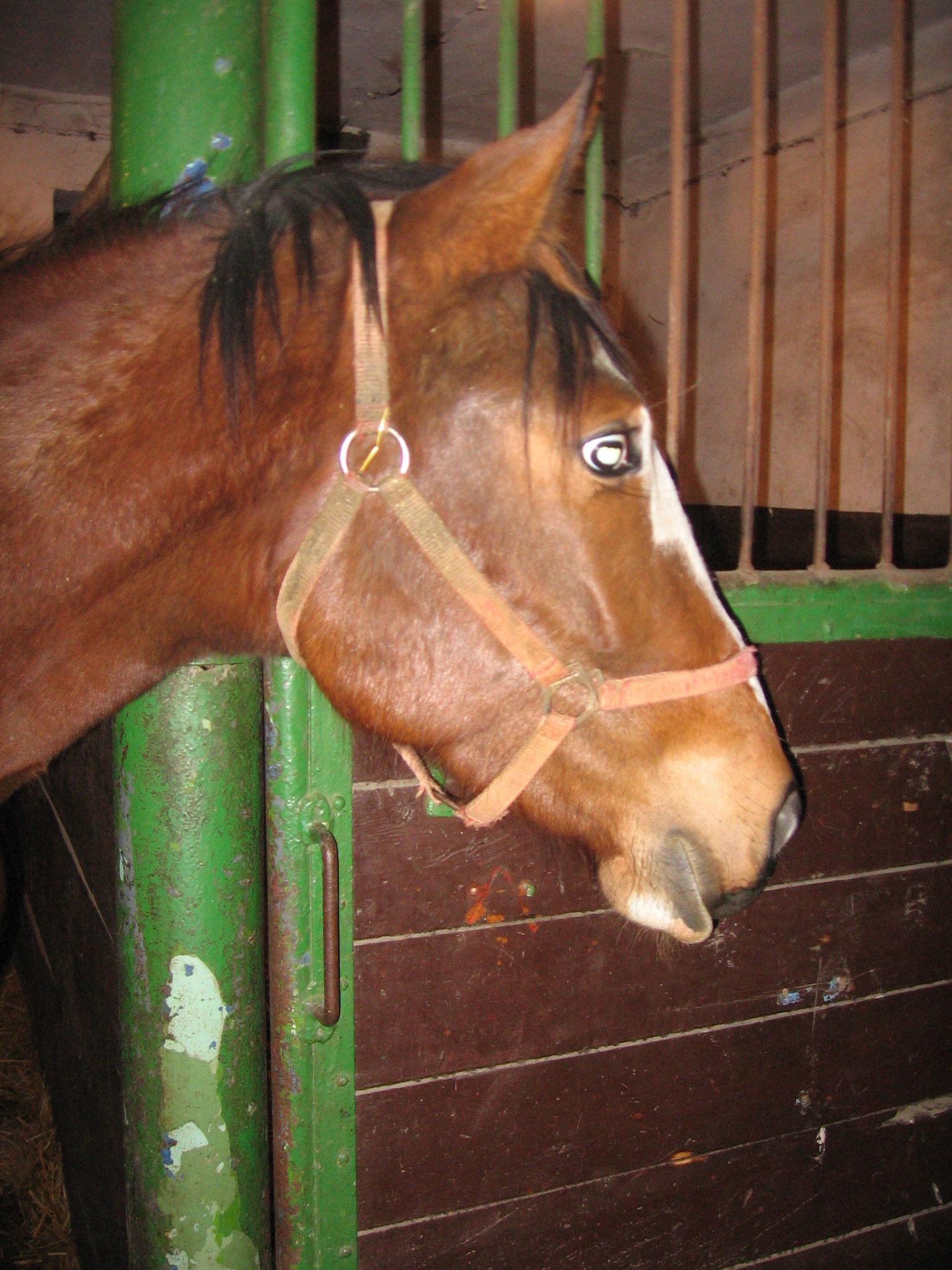 Snímek 407.jpg